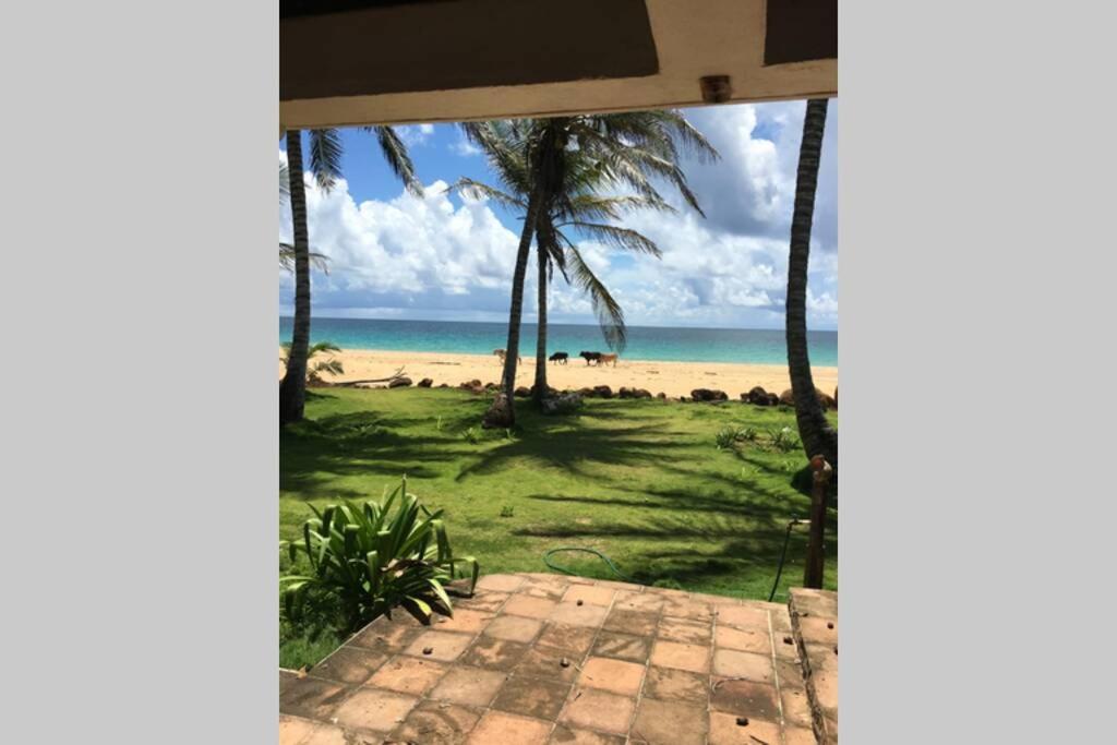 Coconut Castle At La Lodge At Long Bay South End Exterior foto